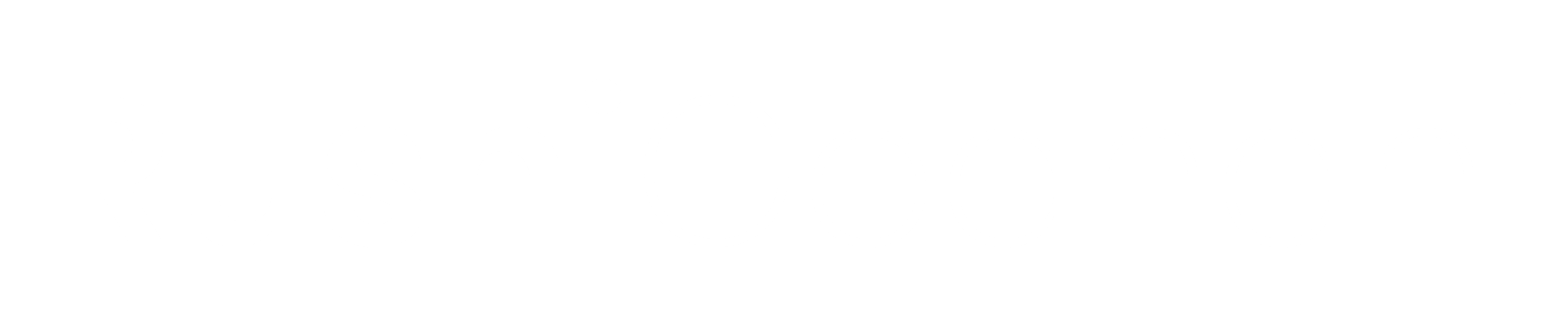 Site Logo Light